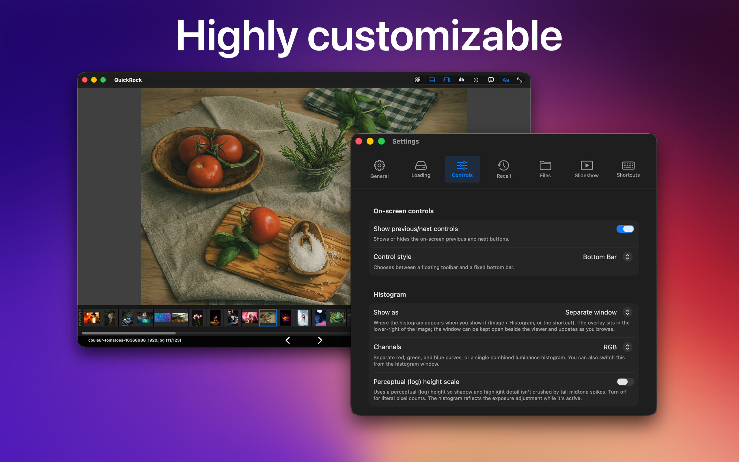 Highly customizable — Settings panel open to Controls tab